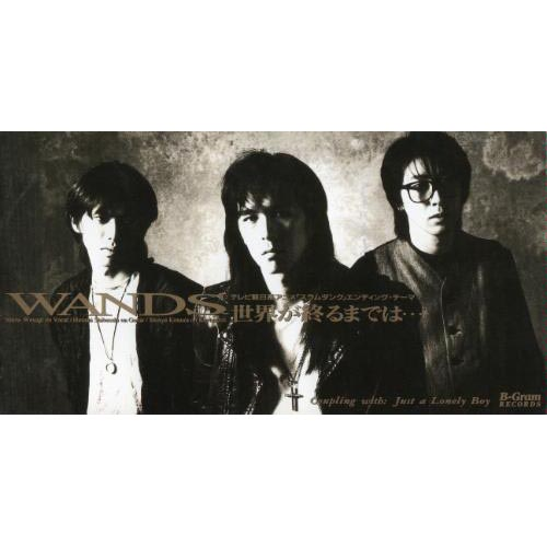 《直到世界的尽头》